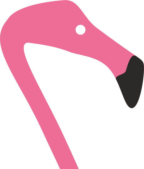 Flamingo picture