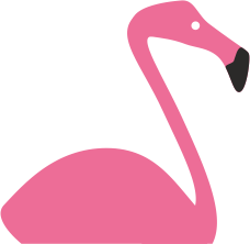 Flamingo picture