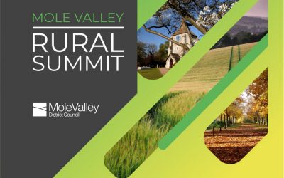 Marketing Materials: Design for Mole Valley’s Rural Summit